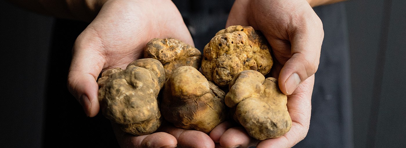 fresh truffle image